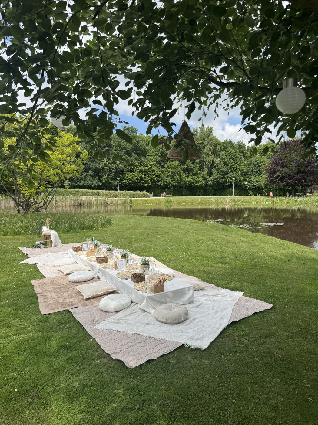 Picknick im Park