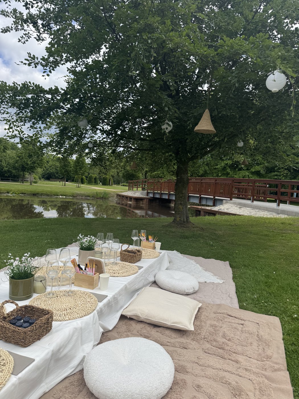 Picknick mit Pampasgras